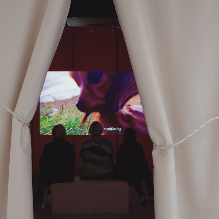Three people seen through a gap in curtains, watching a screen